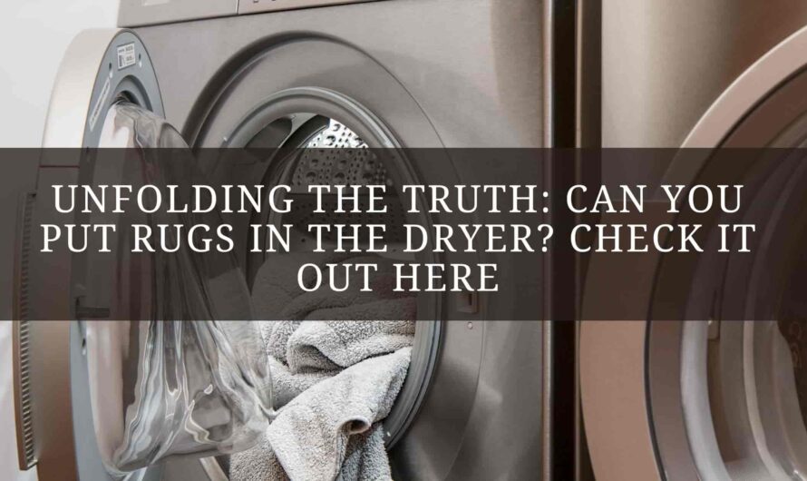 Unfolding the Truth: Can You Put Rugs in the Dryer? Check It Out Here