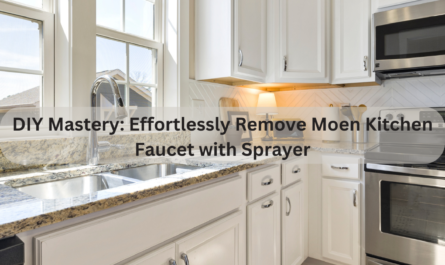 how to remove a moen kitchen faucet with sprayer