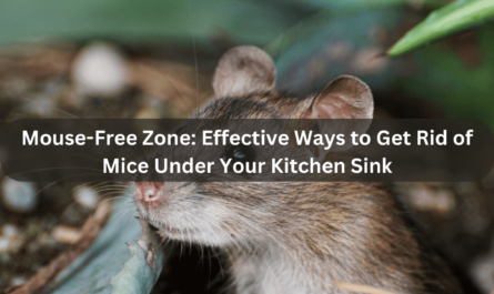 how to get rid of mice under kitchen sink