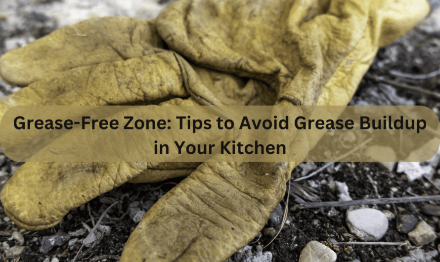 Grease-Free Zone: Tips to Avoid Grease Buildup in Your Kitchen